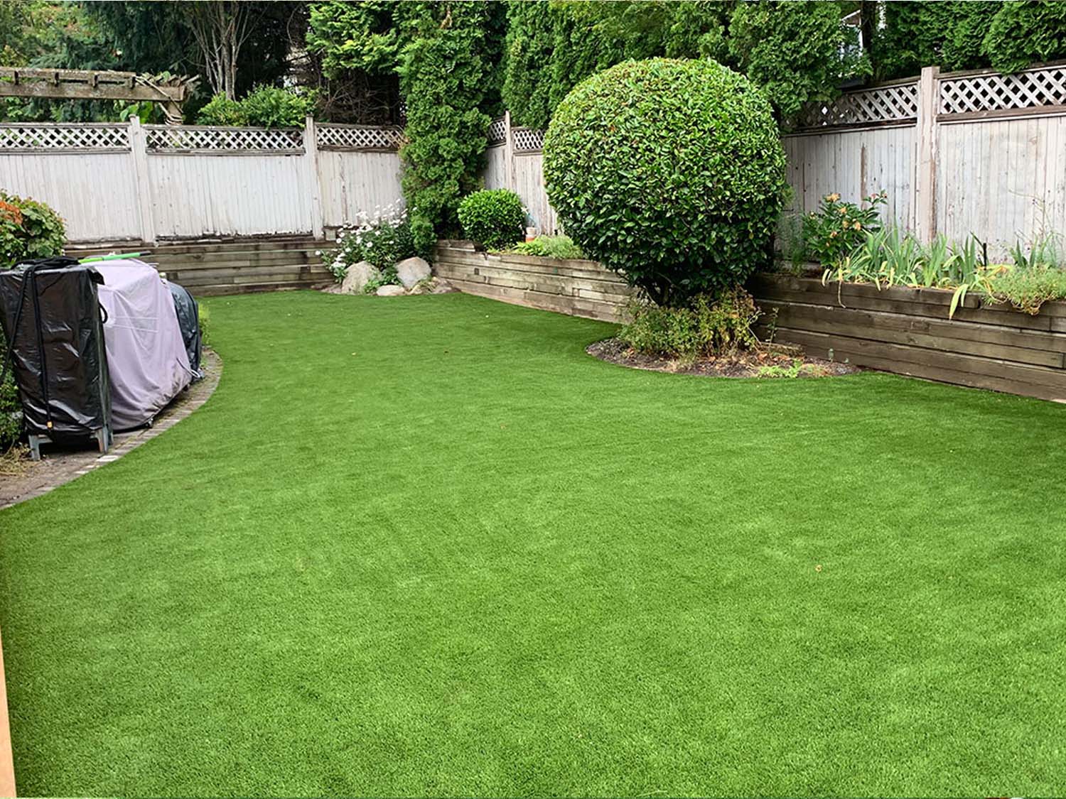 tarf grass installation